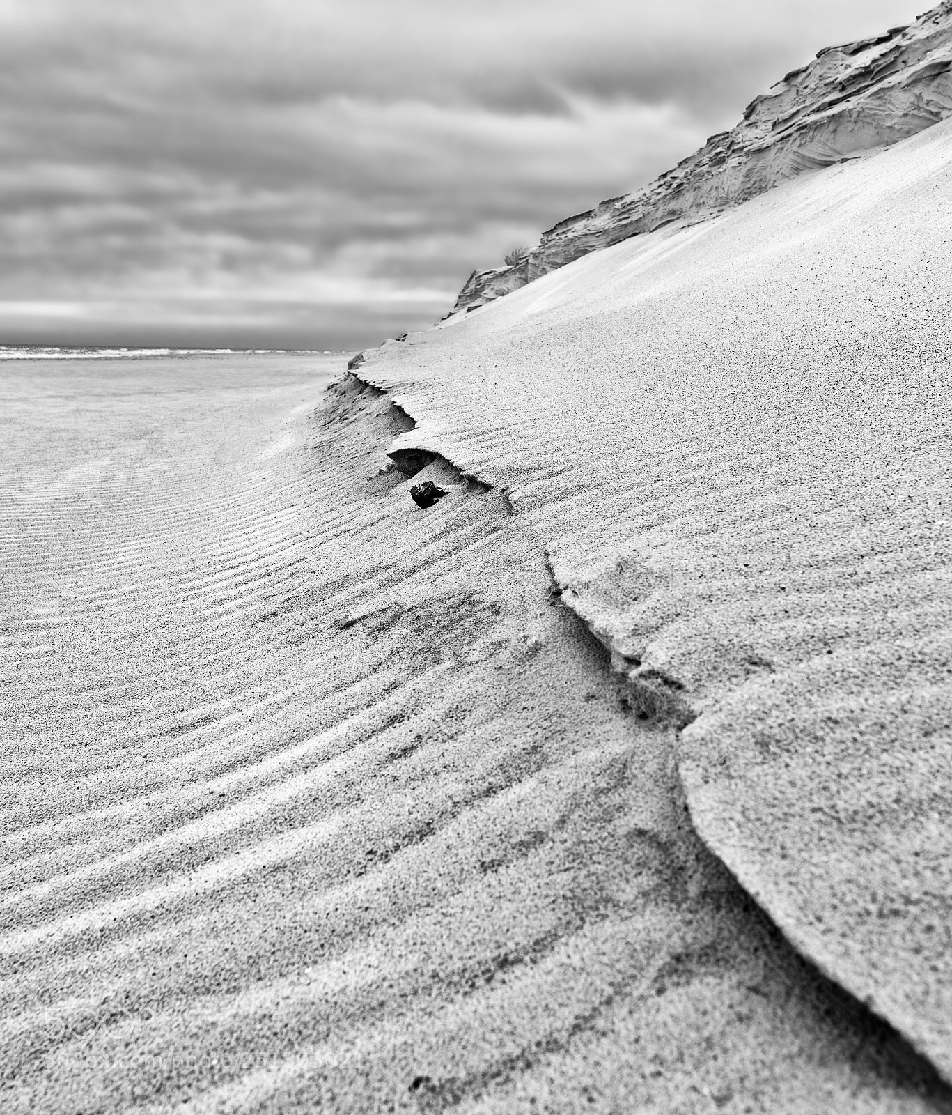 Nikon D810 sample photo. Dunes iii photography