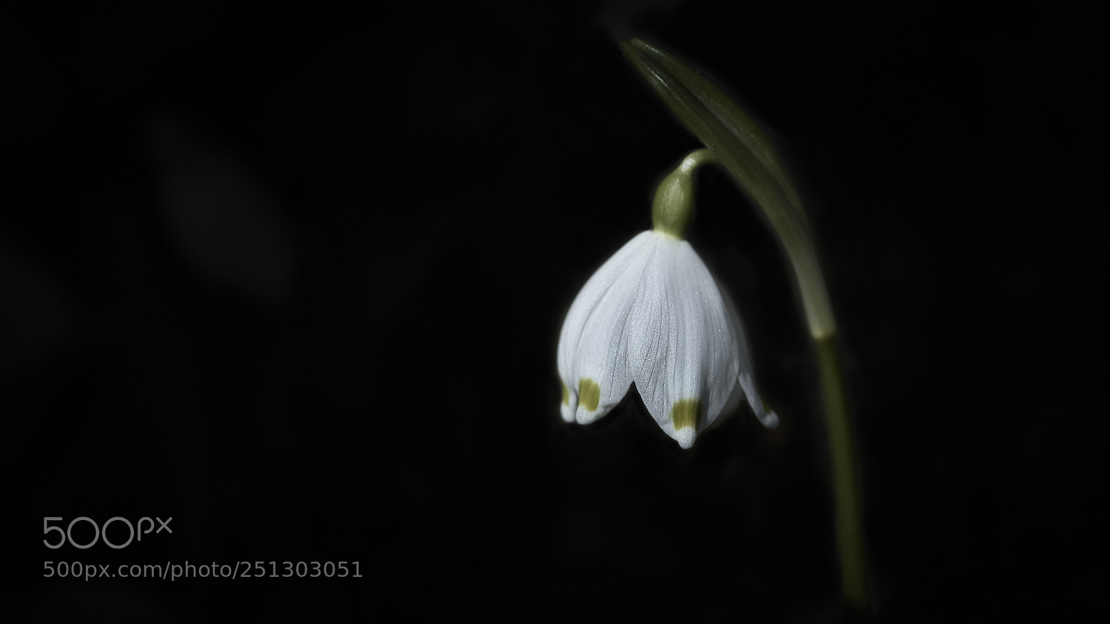 Nikon D800E sample photo. Solitude ii photography