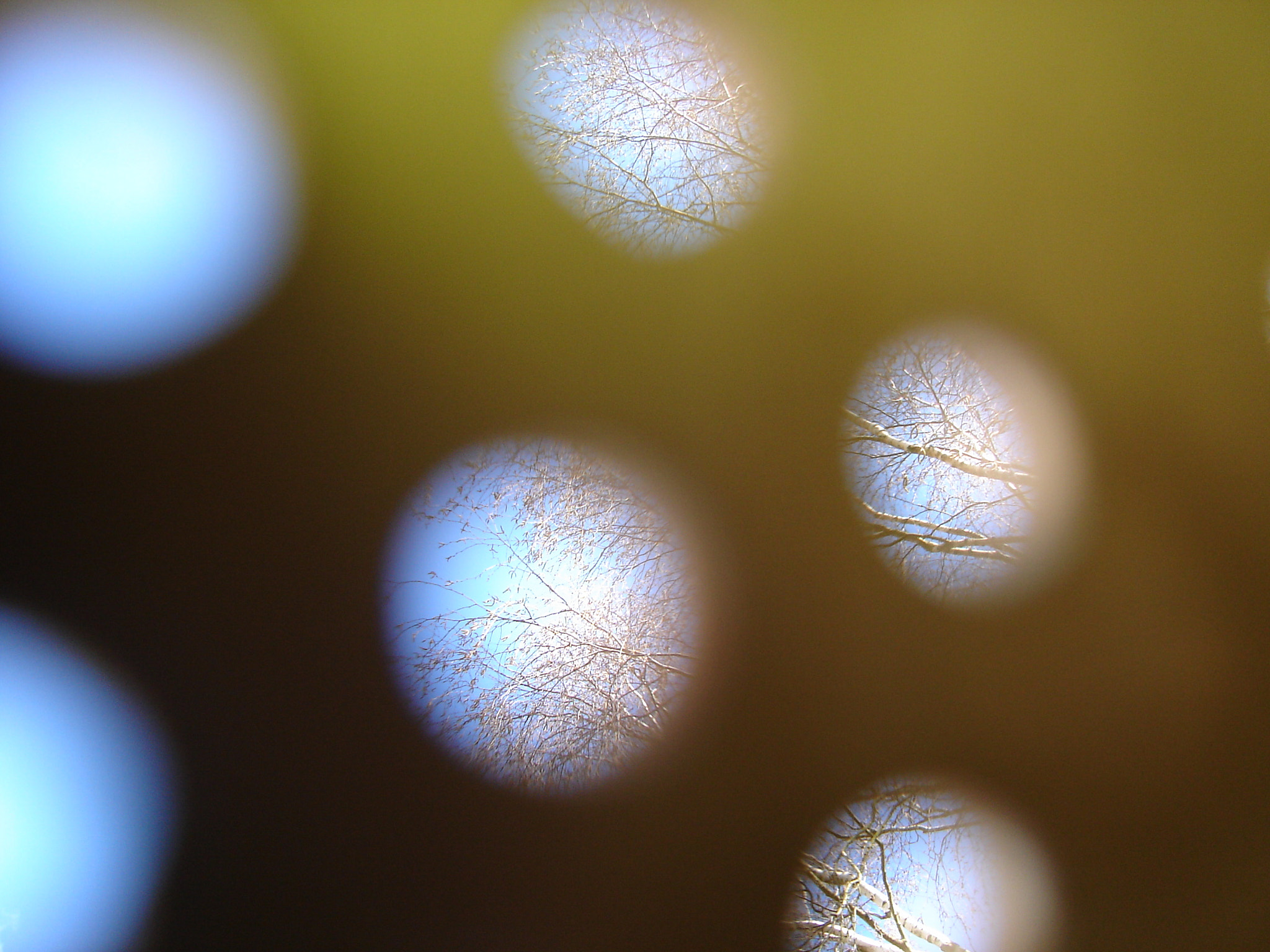 Sony DSC-L1 sample photo. Behind the holes photography