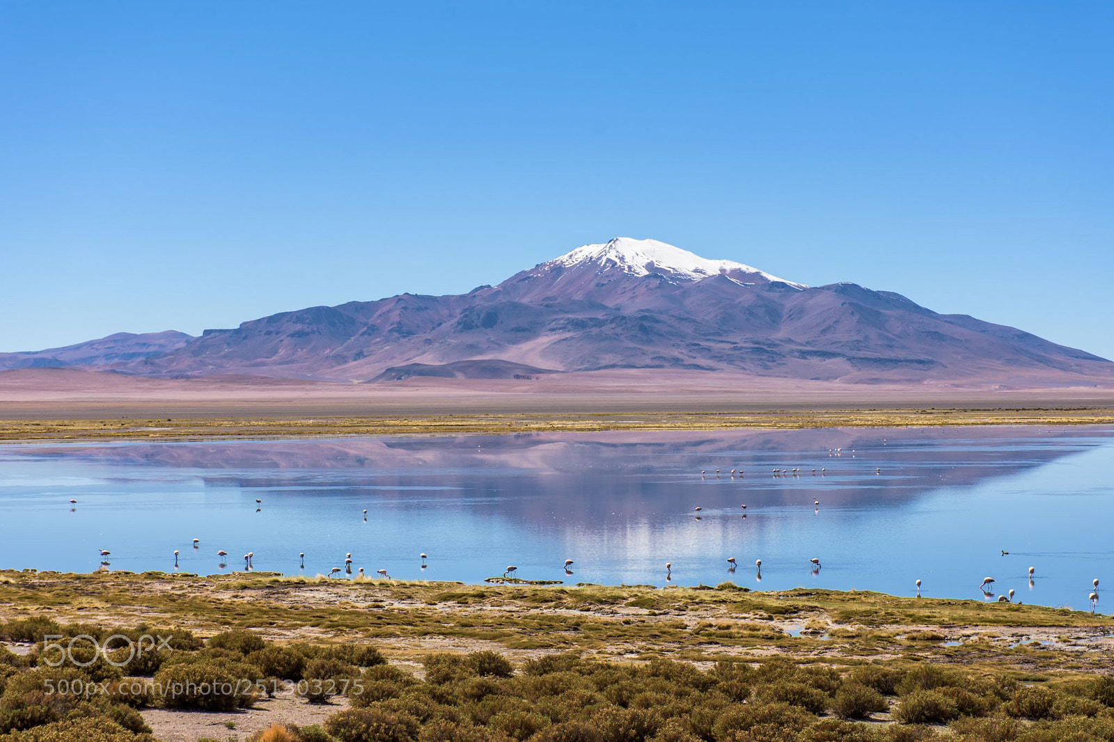 Nikon D7200 sample photo. Salar de tara photography
