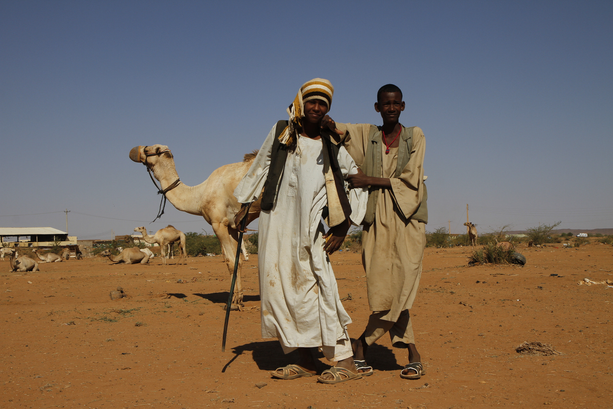 Canon EF-S 17-55mm F2.8 IS USM sample photo. Young cameleers from omdurman photography