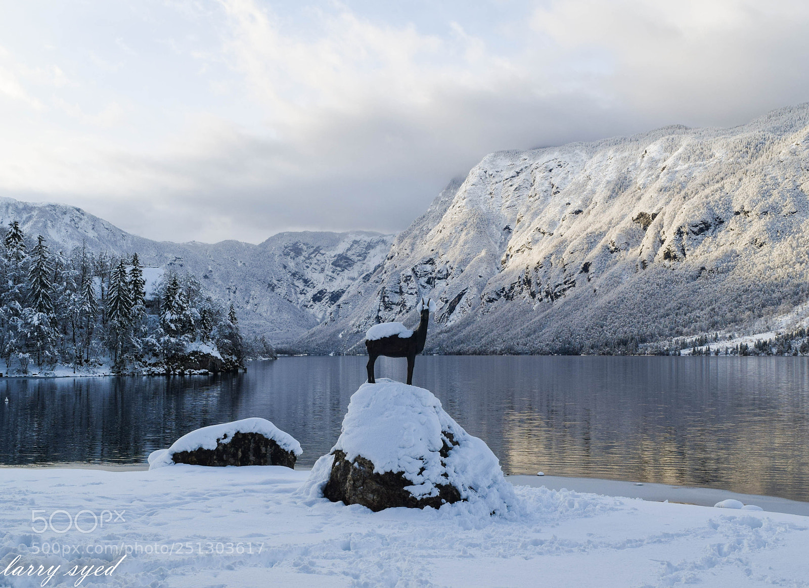 Nikon D3300 sample photo. Bohinjsko jezero photography