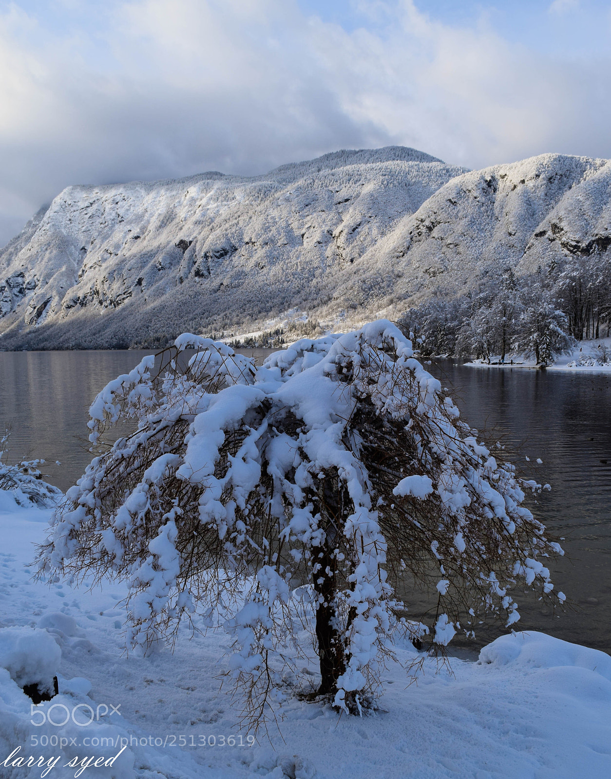 Nikon D3300 sample photo. Bohinjsko jezero photography