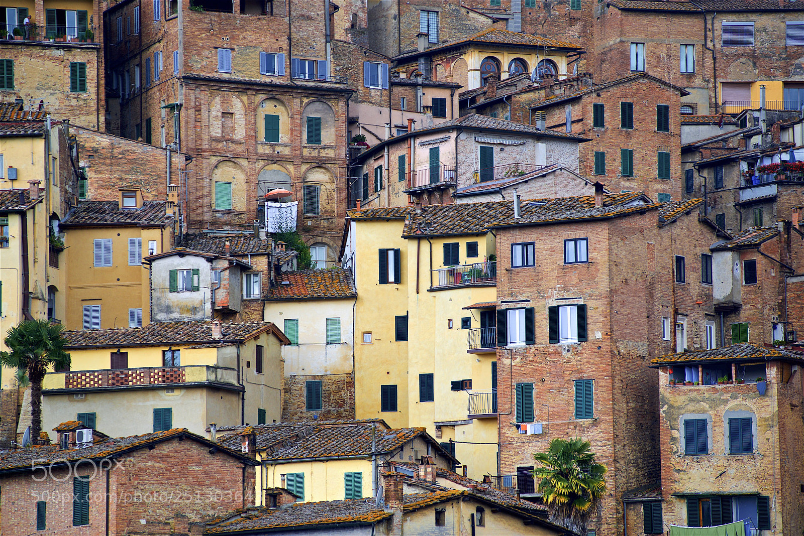 Nikon D600 sample photo. Siena cityscape photography