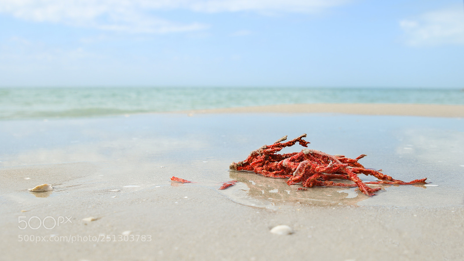 Canon EOS 7D Mark II sample photo. Ashore photography