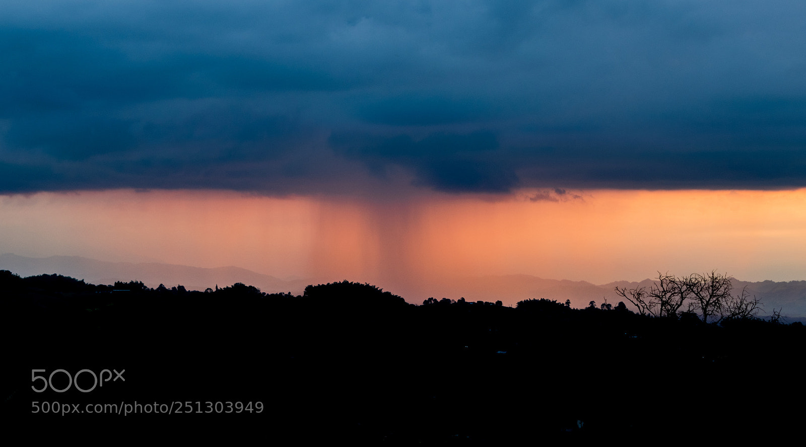 Nikon D3300 sample photo. Raining blue. photography