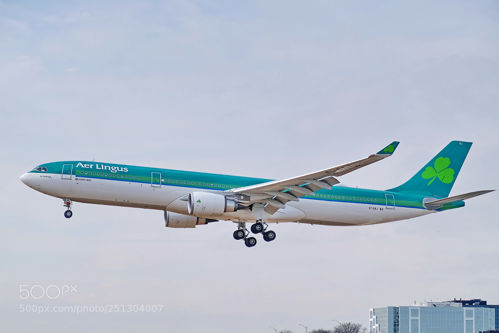 Fujifilm X-E3 sample photo. The shamrock approach photography