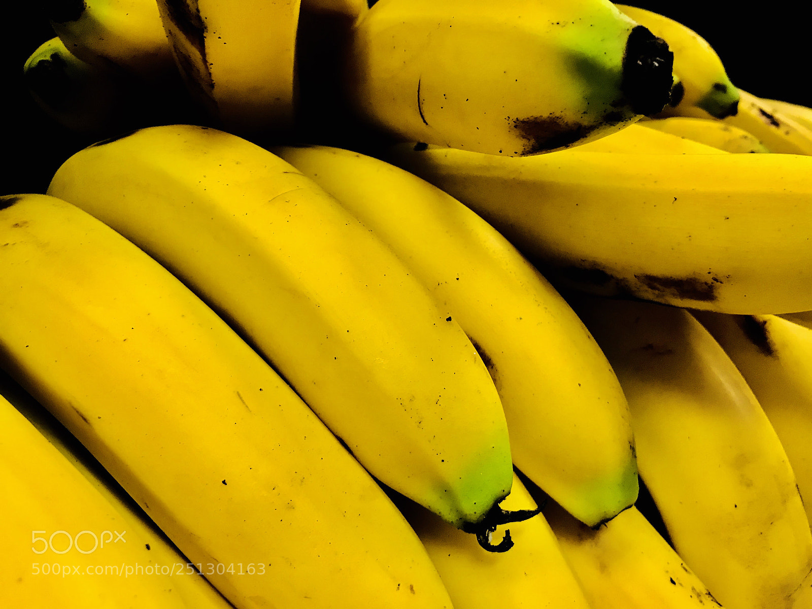Apple iPhone 7 Plus sample photo. Yellow  photography