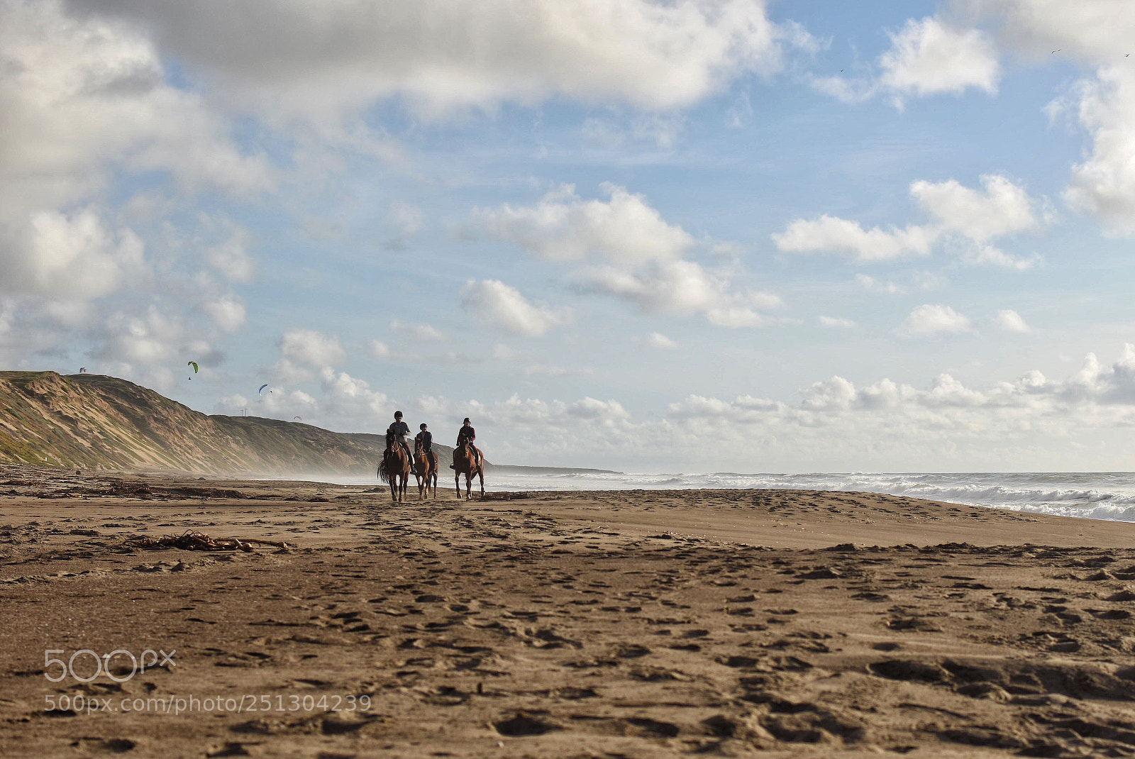 Nikon D5500 sample photo. Horses at mdo photography