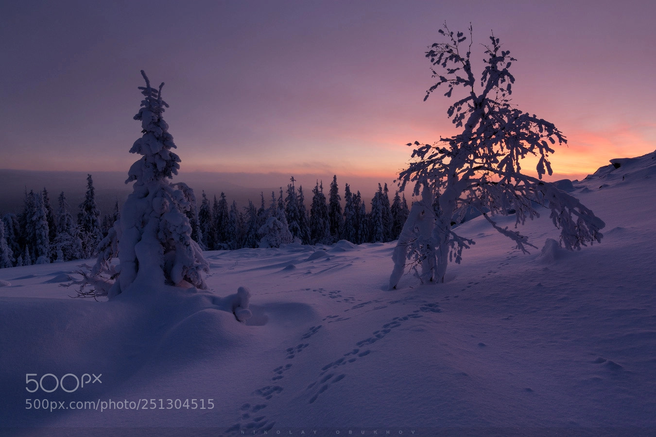Nikon D7100 sample photo. Winter etude 0225_0150 photography