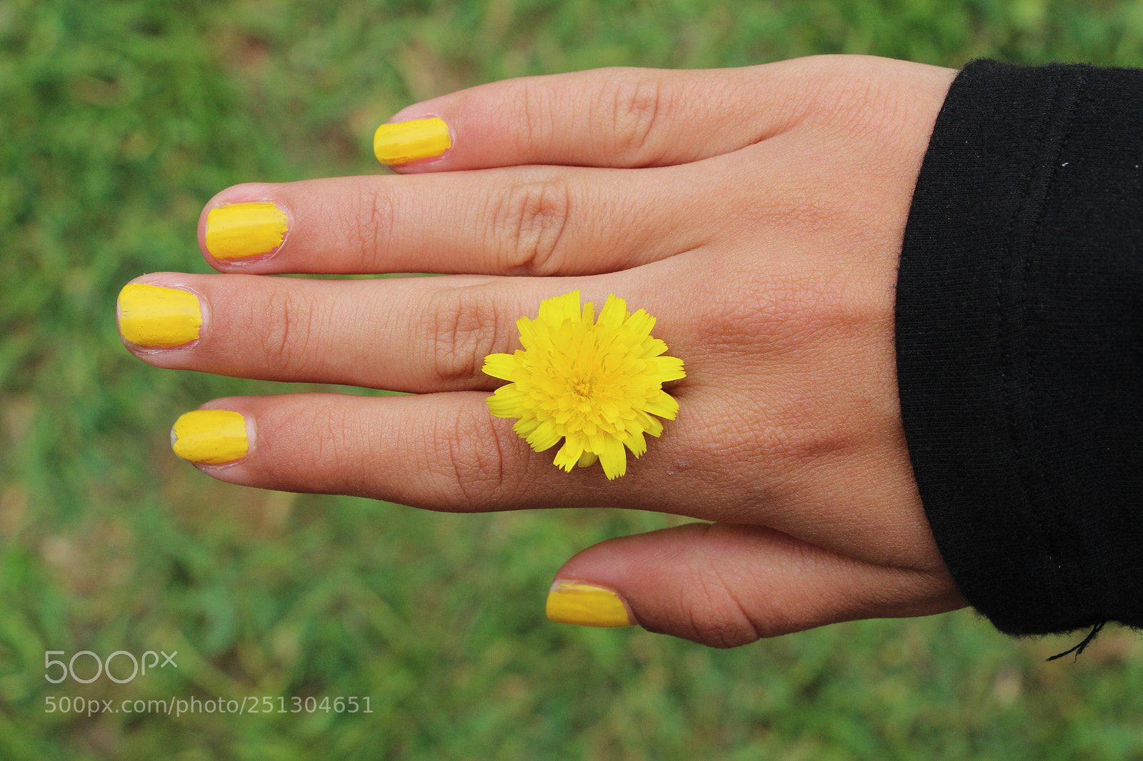 Canon EOS 650D (EOS Rebel T4i / EOS Kiss X6i) sample photo. Hand with flower photography