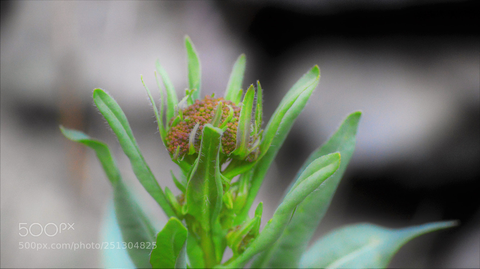Nikon D3200 sample photo. Untitled photography