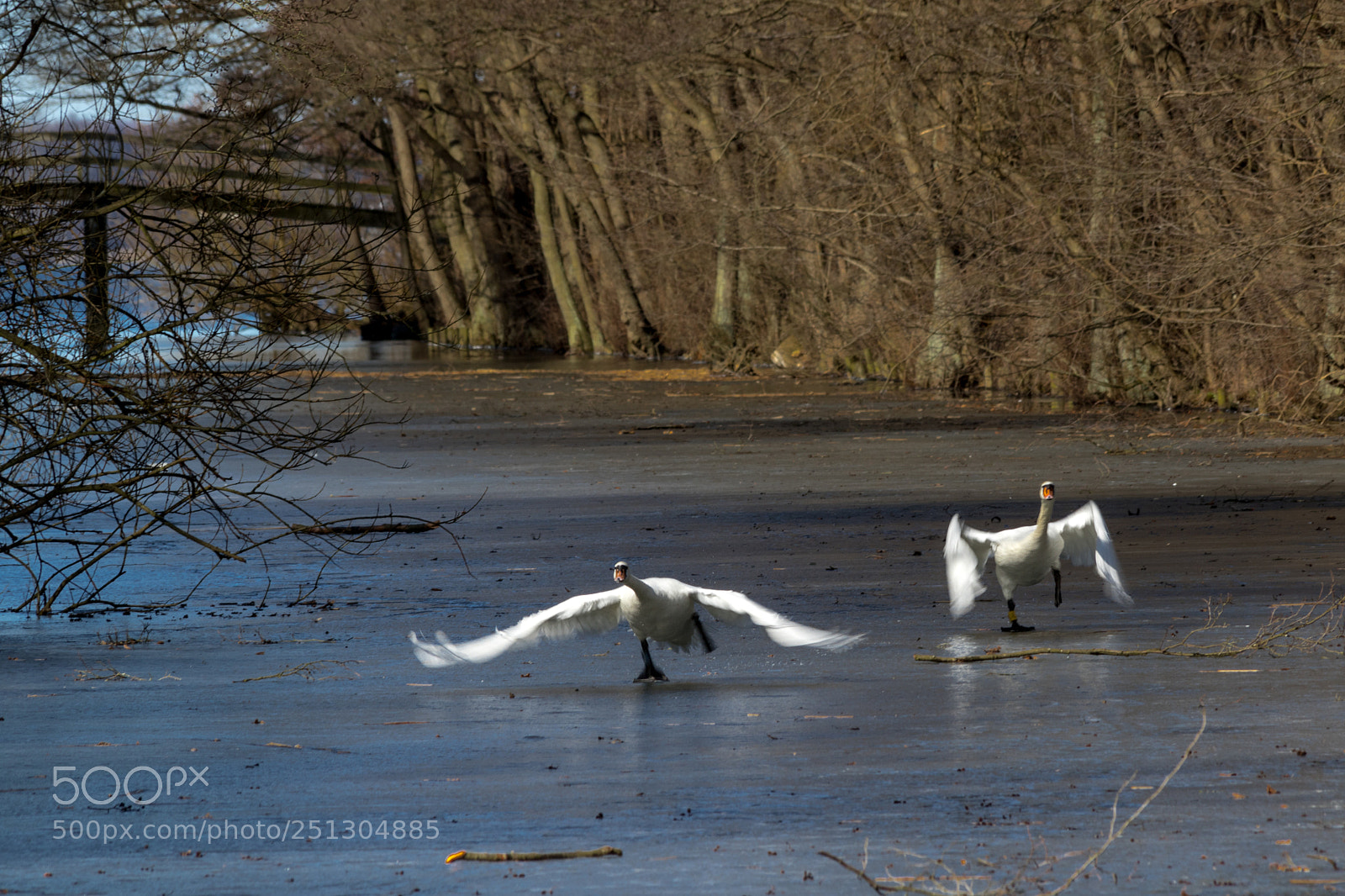 Canon EOS 7D Mark II sample photo. Prepare for take off photography