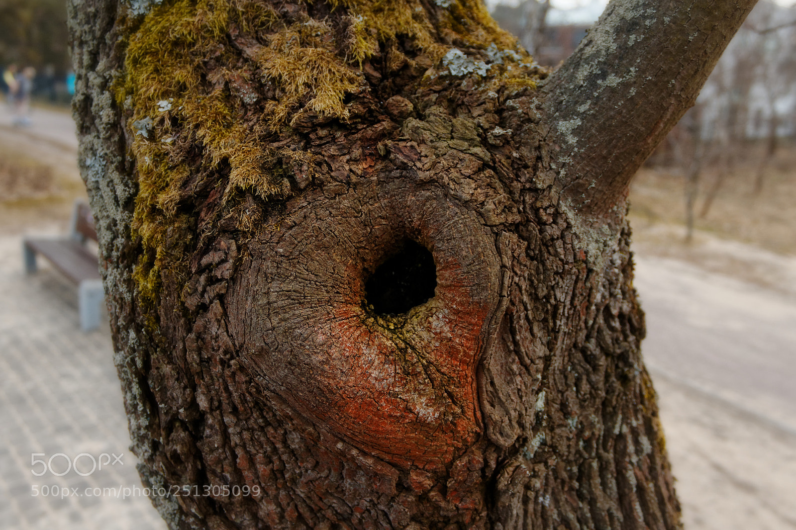 Canon EOS 1200D (EOS Rebel T5 / EOS Kiss X70 / EOS Hi) sample photo. Black hole photography