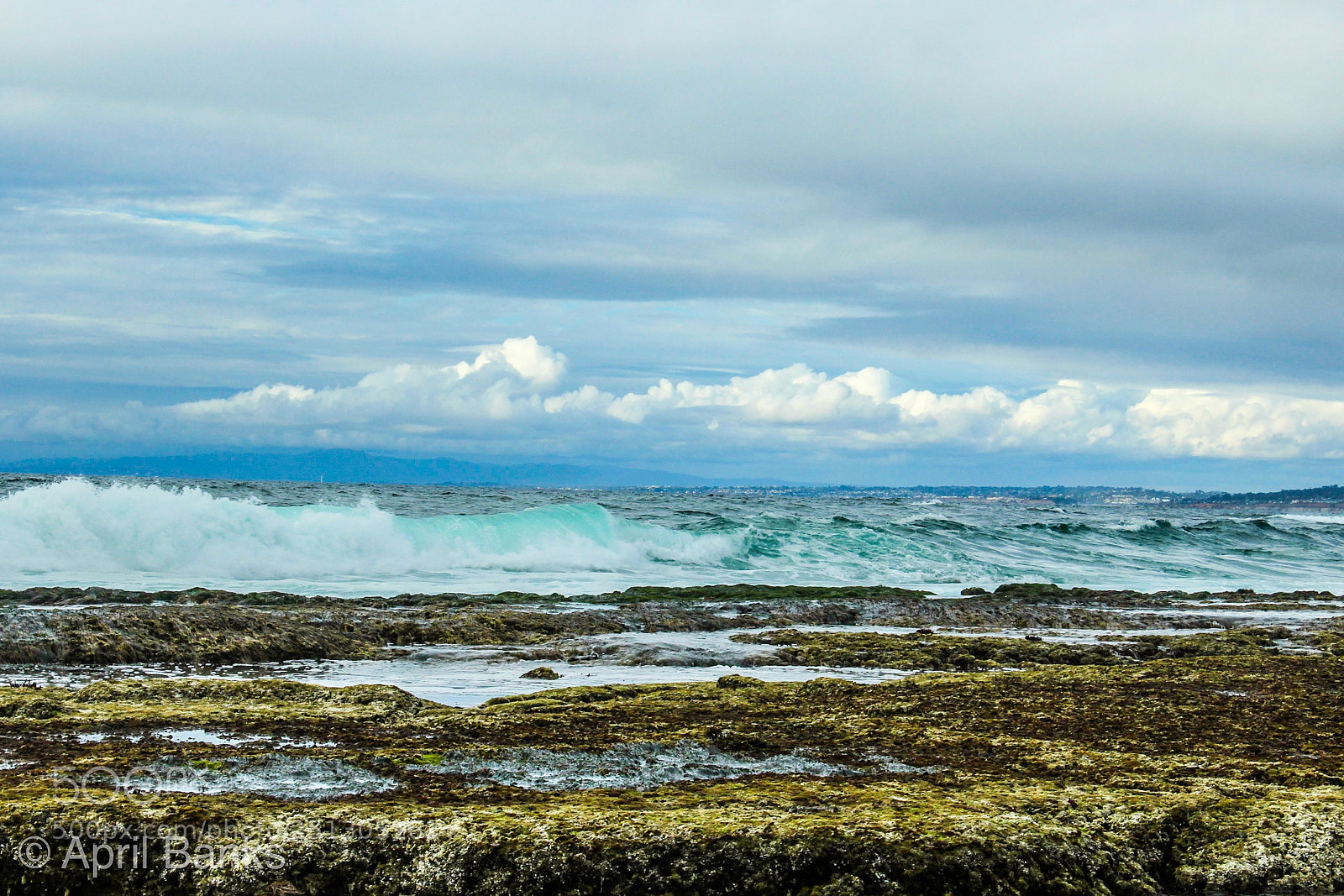 Canon EOS 600D (Rebel EOS T3i / EOS Kiss X5) sample photo. Teal wave photography