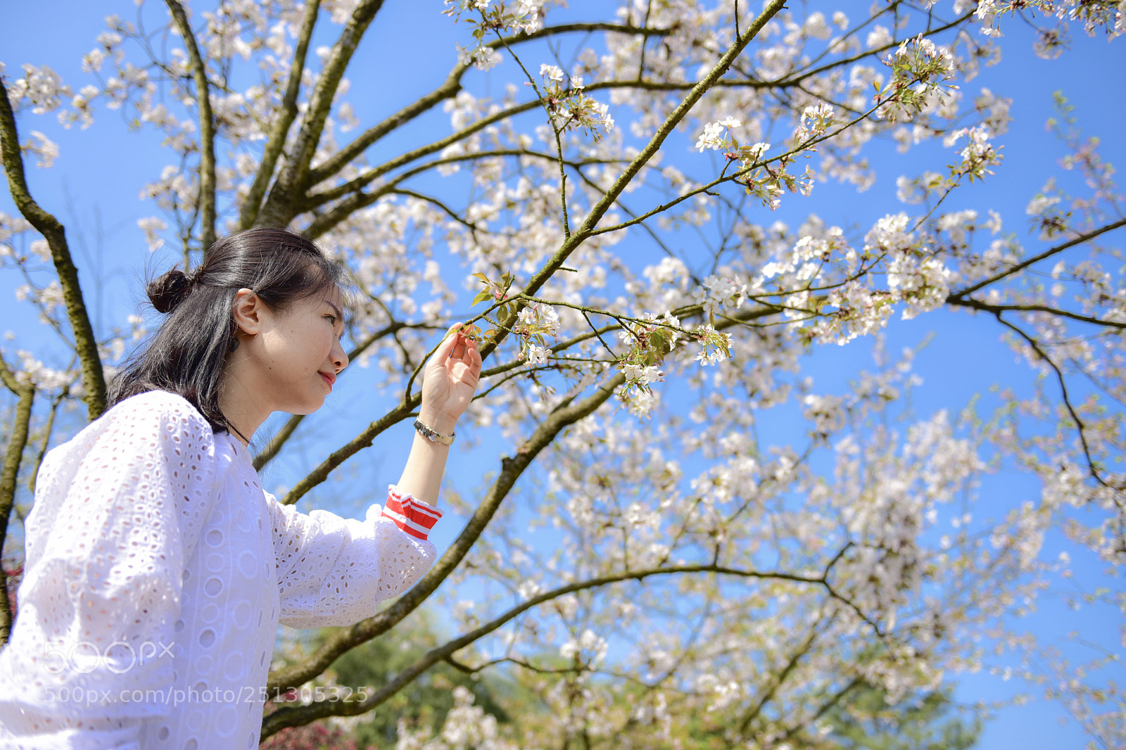 Nikon D810 sample photo. Untitled photography