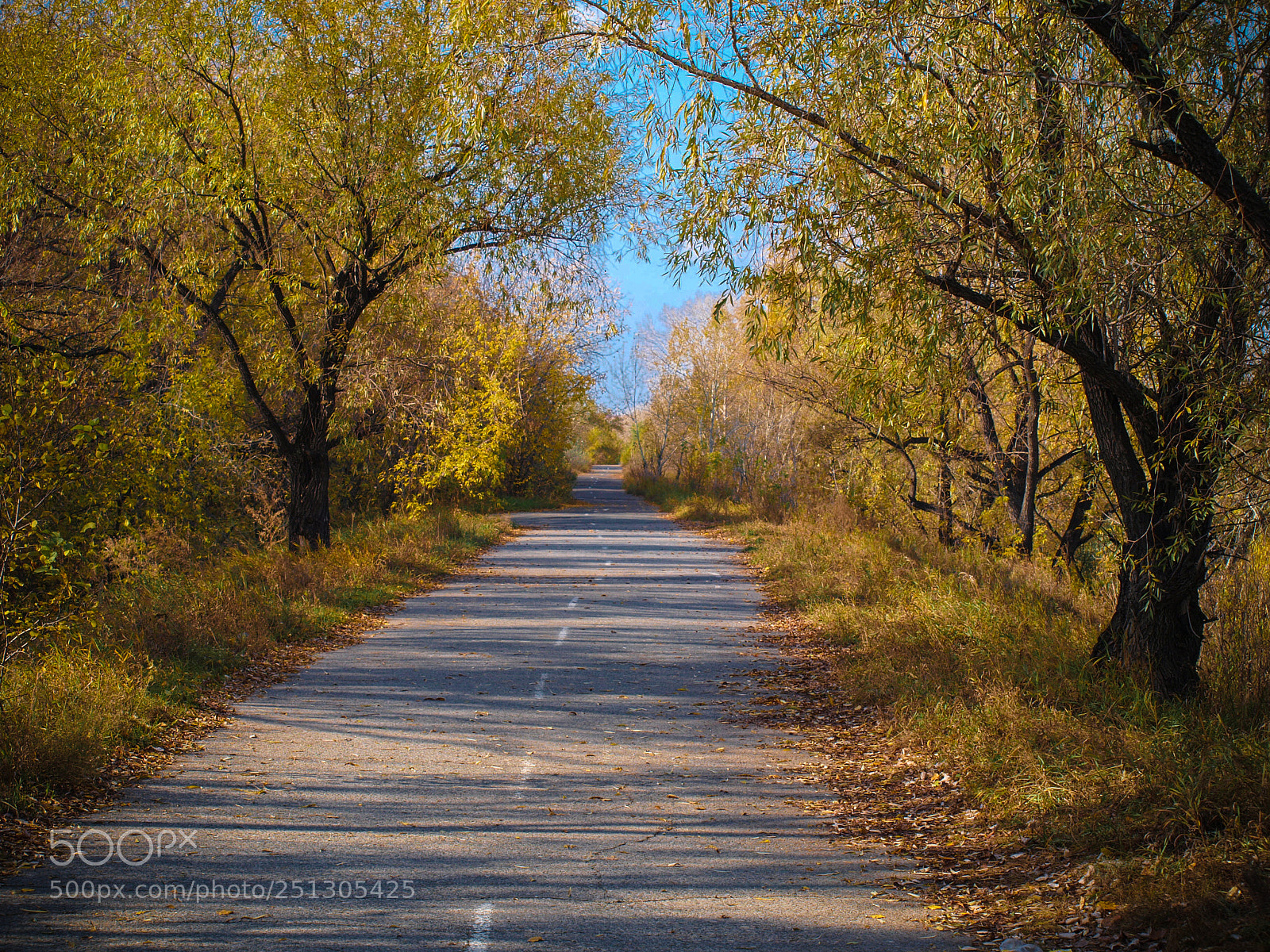 Olympus E-420 (EVOLT E-420) sample photo. Autumn in omsk photography