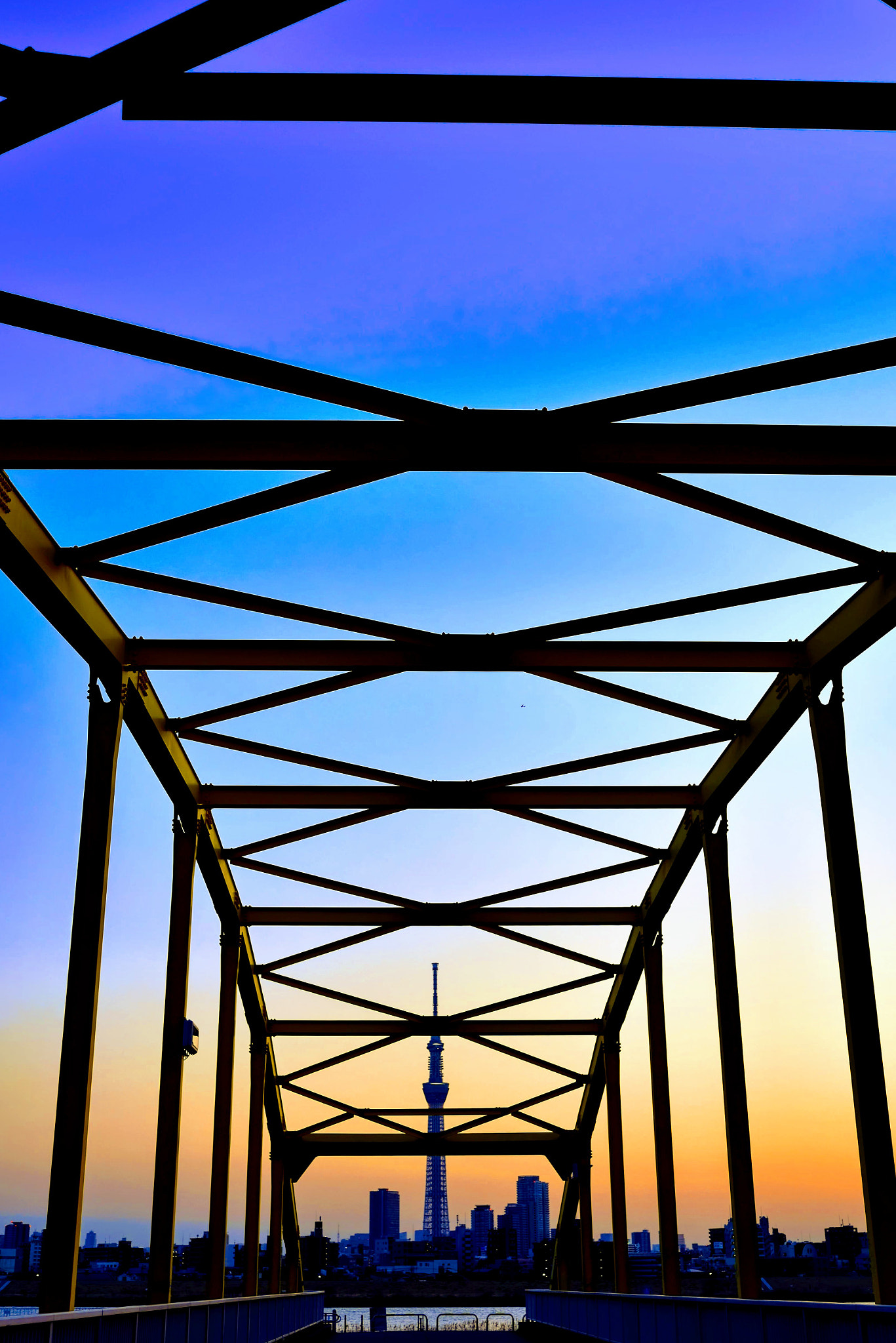 Nikon D750 + Nikon AF-S Nikkor 35mm F1.8G ED sample photo. Bridge & sunset &tokyo skytree photography