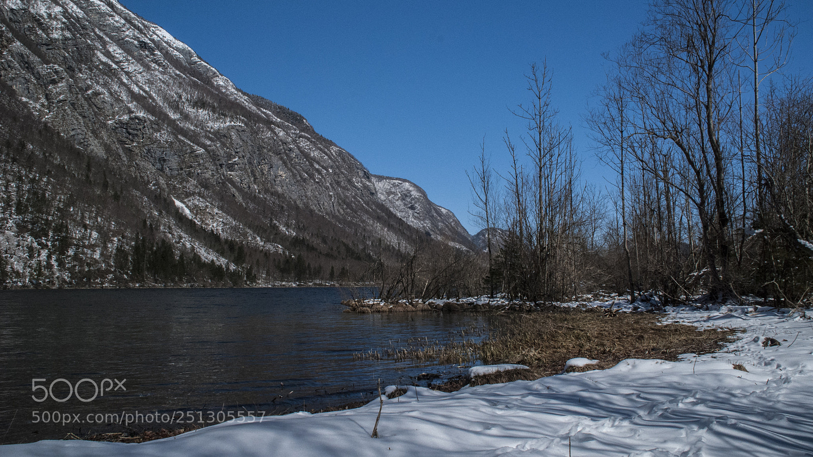 Nikon D80 sample photo. Lake bohinj photography
