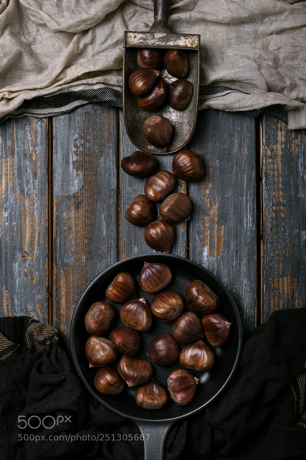 Canon EOS 6D Mark II sample photo. Raw chestnuts photography