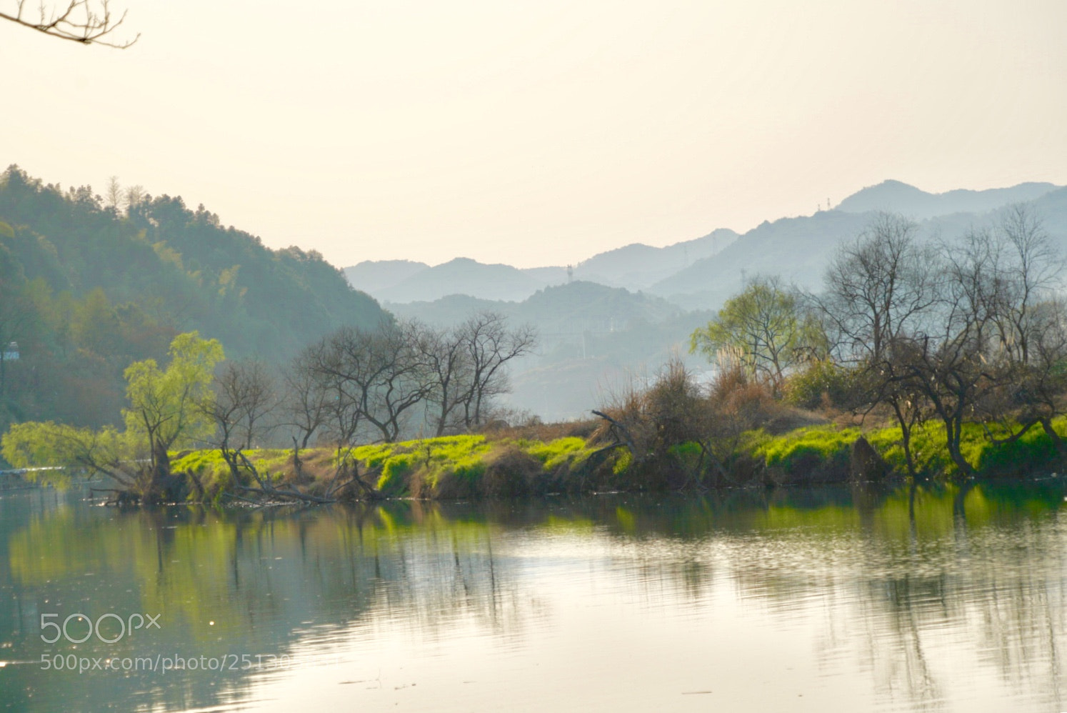 Sony a7R III sample photo. 春 photography