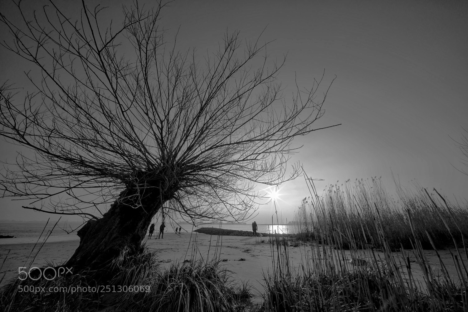 Sony a7R sample photo. Beach sunset photography