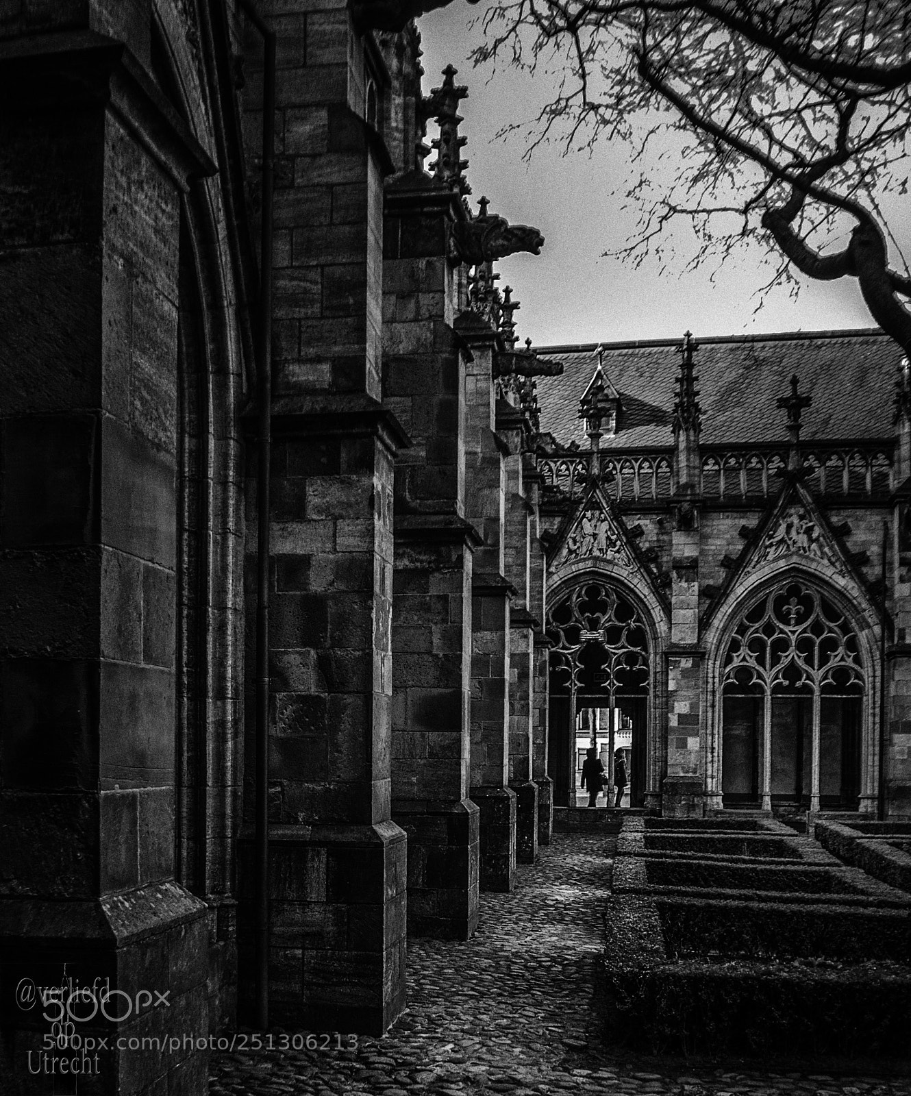 Nikon D5000 sample photo. Church garden in the photography