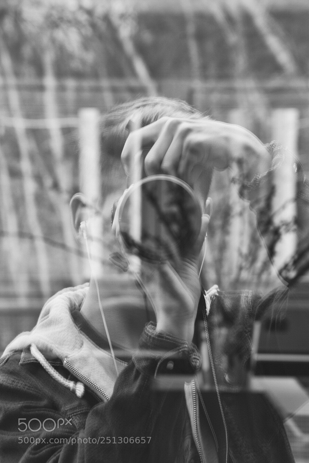 Nikon D5600 sample photo. Translucent  photography