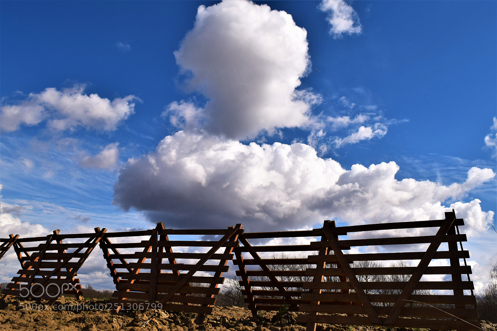 Nikon D3300 sample photo. Fence photography