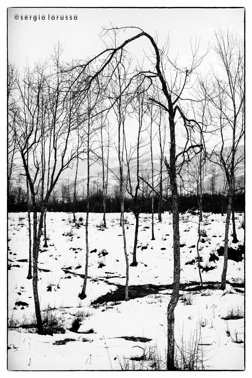 Nikon D7200 sample photo. Minimal snow photography