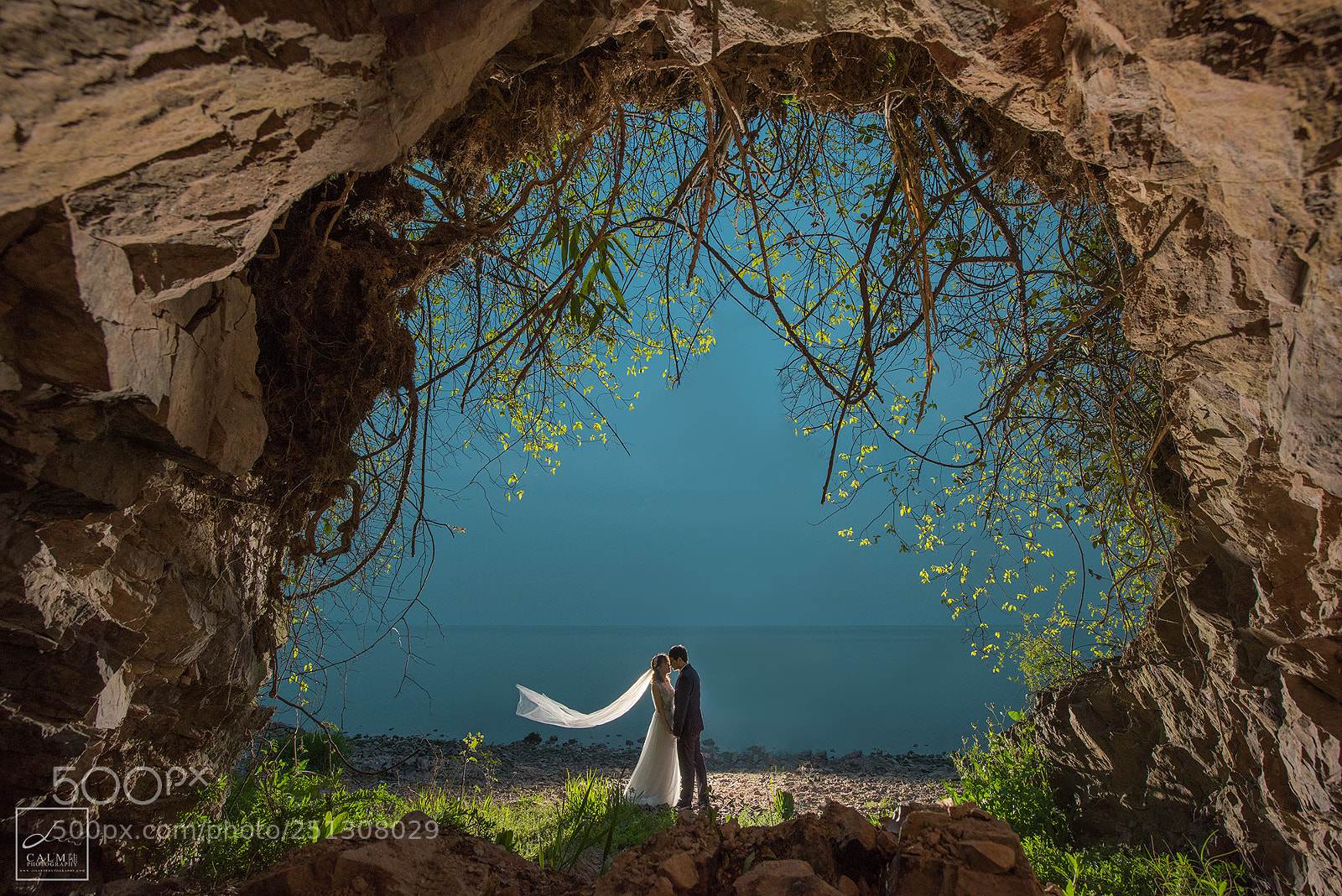 Nikon D810 sample photo. Untitled photography