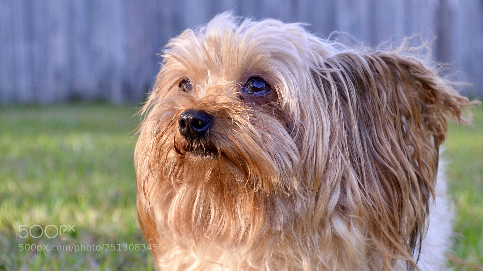 Nikon D7000 sample photo. Pheebs photography