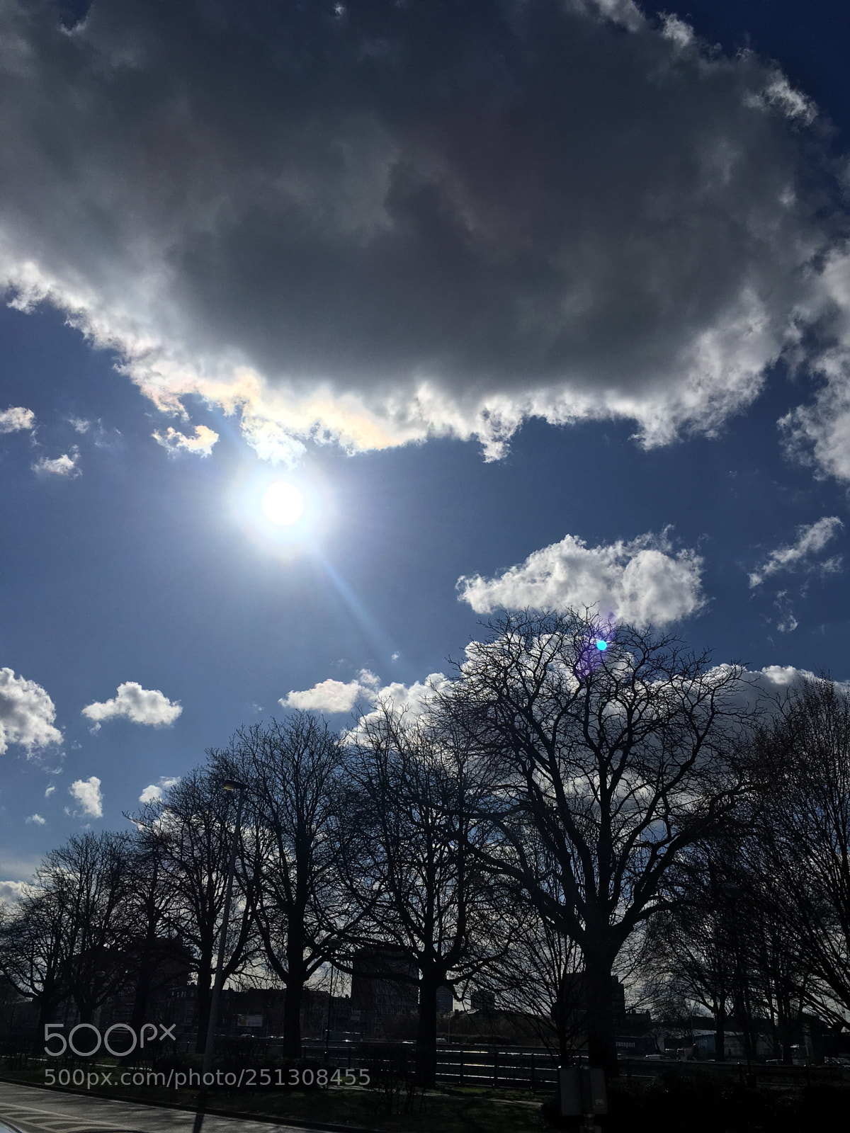 Apple iPhone SE sample photo. Untitled photography