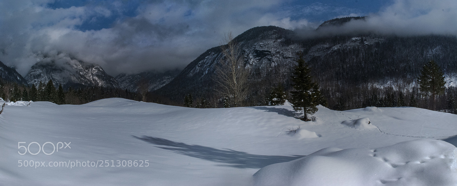 Nikon D80 sample photo. Bohinj photography