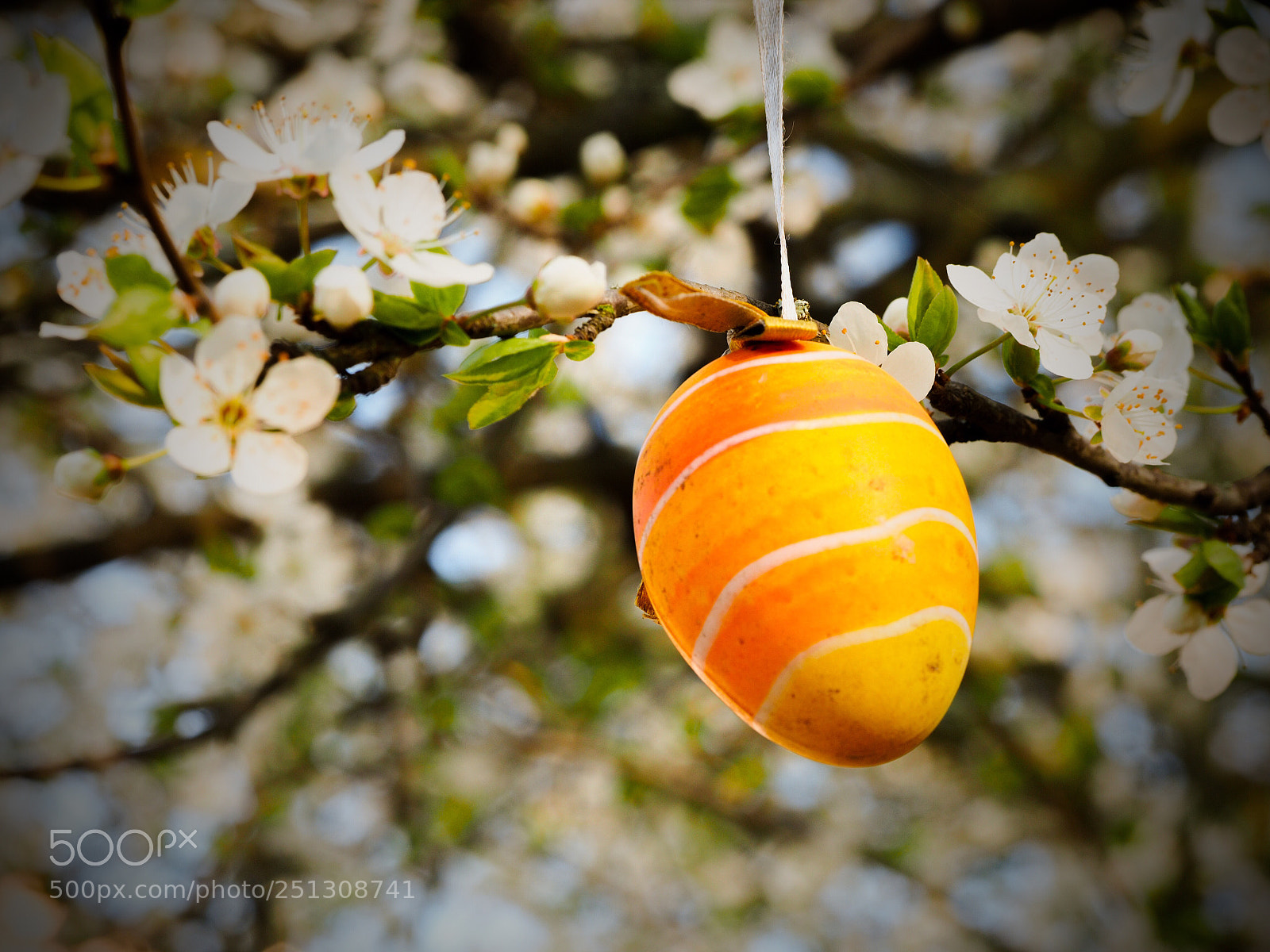 Olympus OM-D E-M1 sample photo. Happy eastern ... photography
