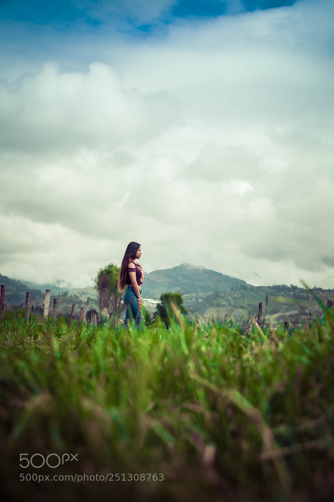 Canon EOS 60D sample photo. Untitled photography
