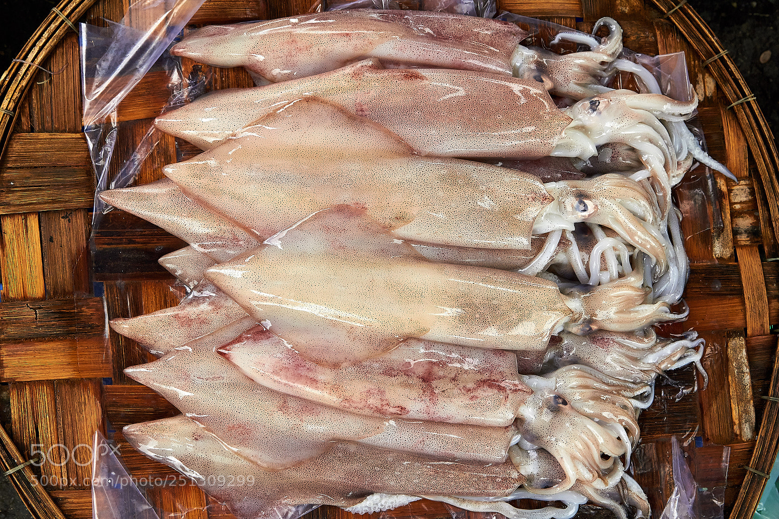 Canon EOS 650D (EOS Rebel T4i / EOS Kiss X6i) sample photo. Squids photography