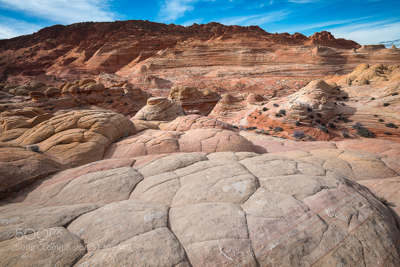 Nikon D800E sample photo. Landscape of the wave photography