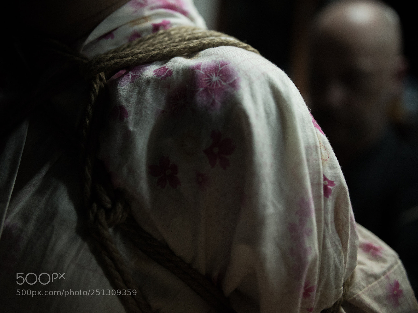 Panasonic Lumix DMC-GH4 sample photo. Shibari session photography