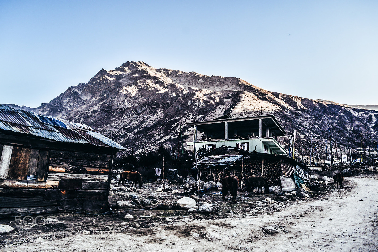 Nikon D5200 sample photo. Thangu valley, india photography