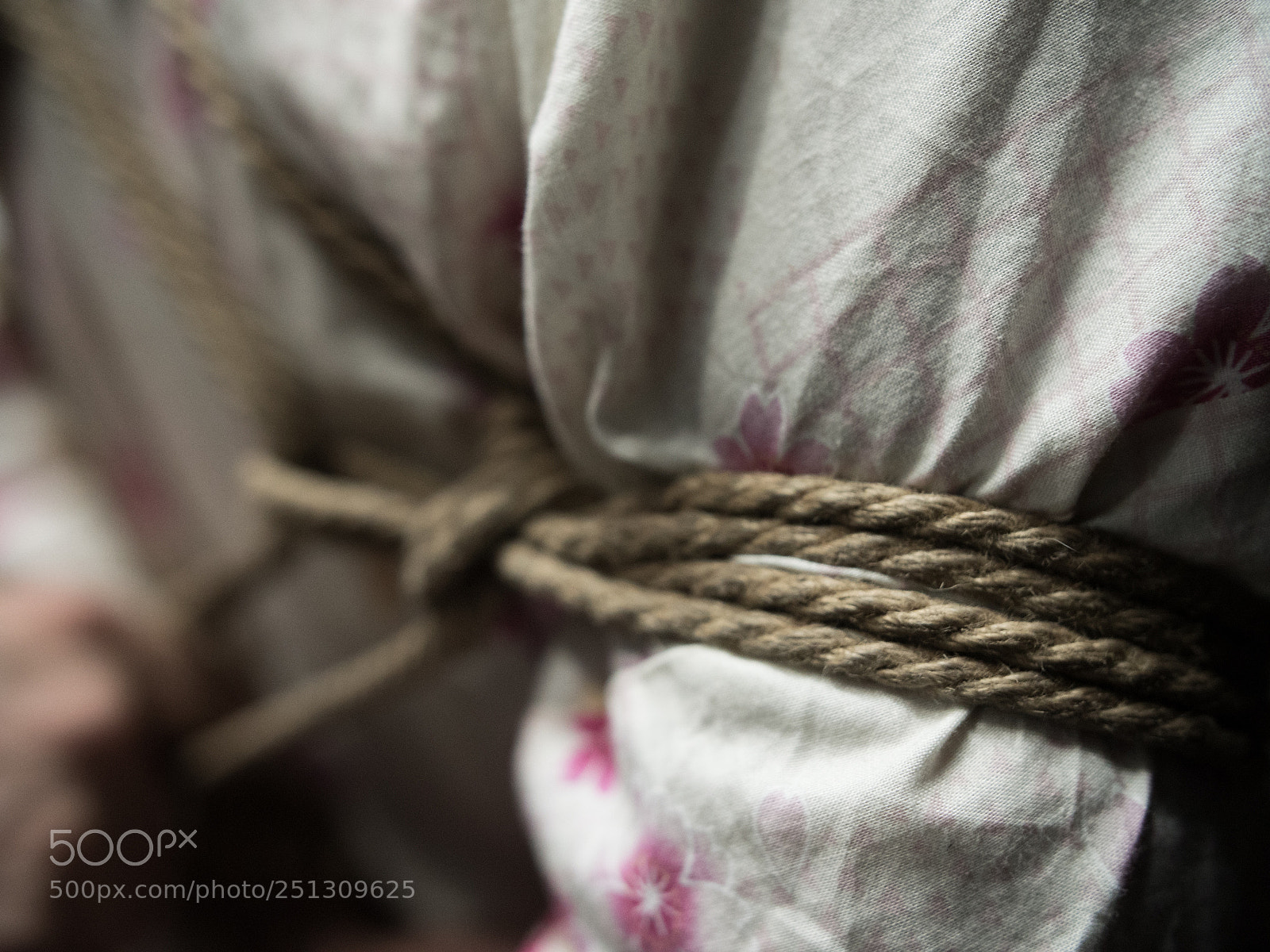 Panasonic Lumix DMC-GH4 sample photo. Shibari session photography