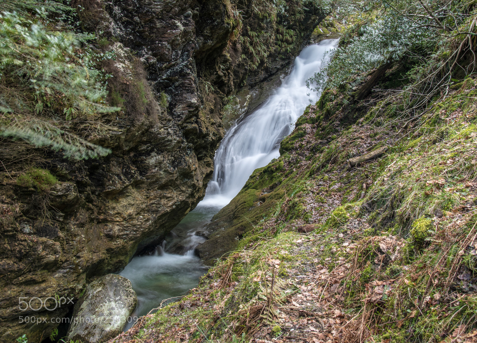 Nikon D5500 sample photo. Fast & relaxing photography