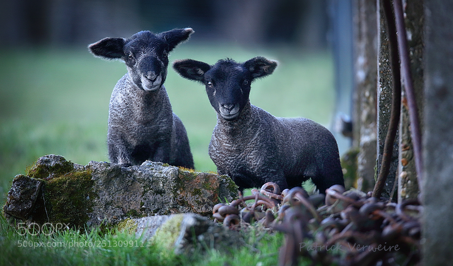 Canon EOS 5DS sample photo. Here we are... happy photography