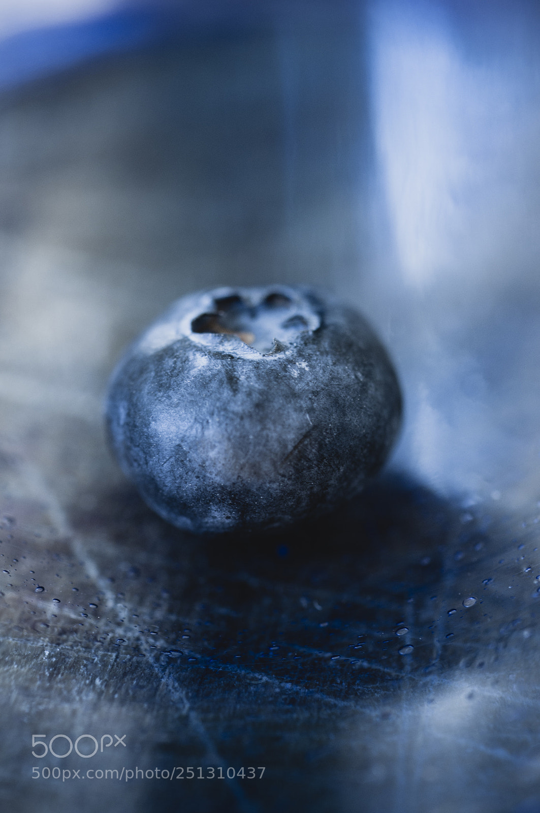 Nikon D90 sample photo. The blues photography