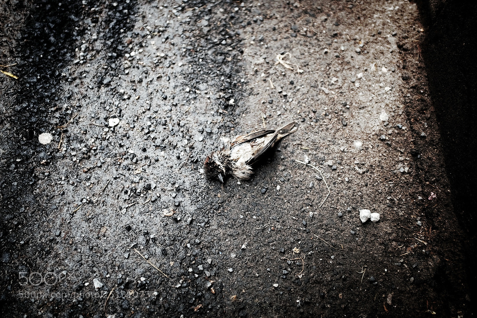 Fujifilm X100T sample photo. Nature morte. photography