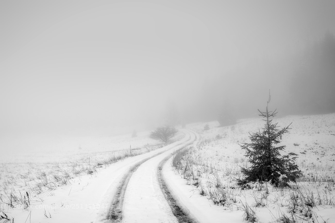 Pentax K-S2 sample photo. Frozen trail 2. photography