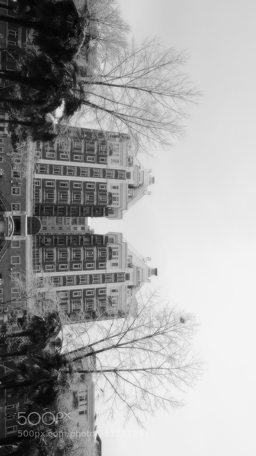 Leica D-Lux (Typ 109) sample photo. Untitled photography