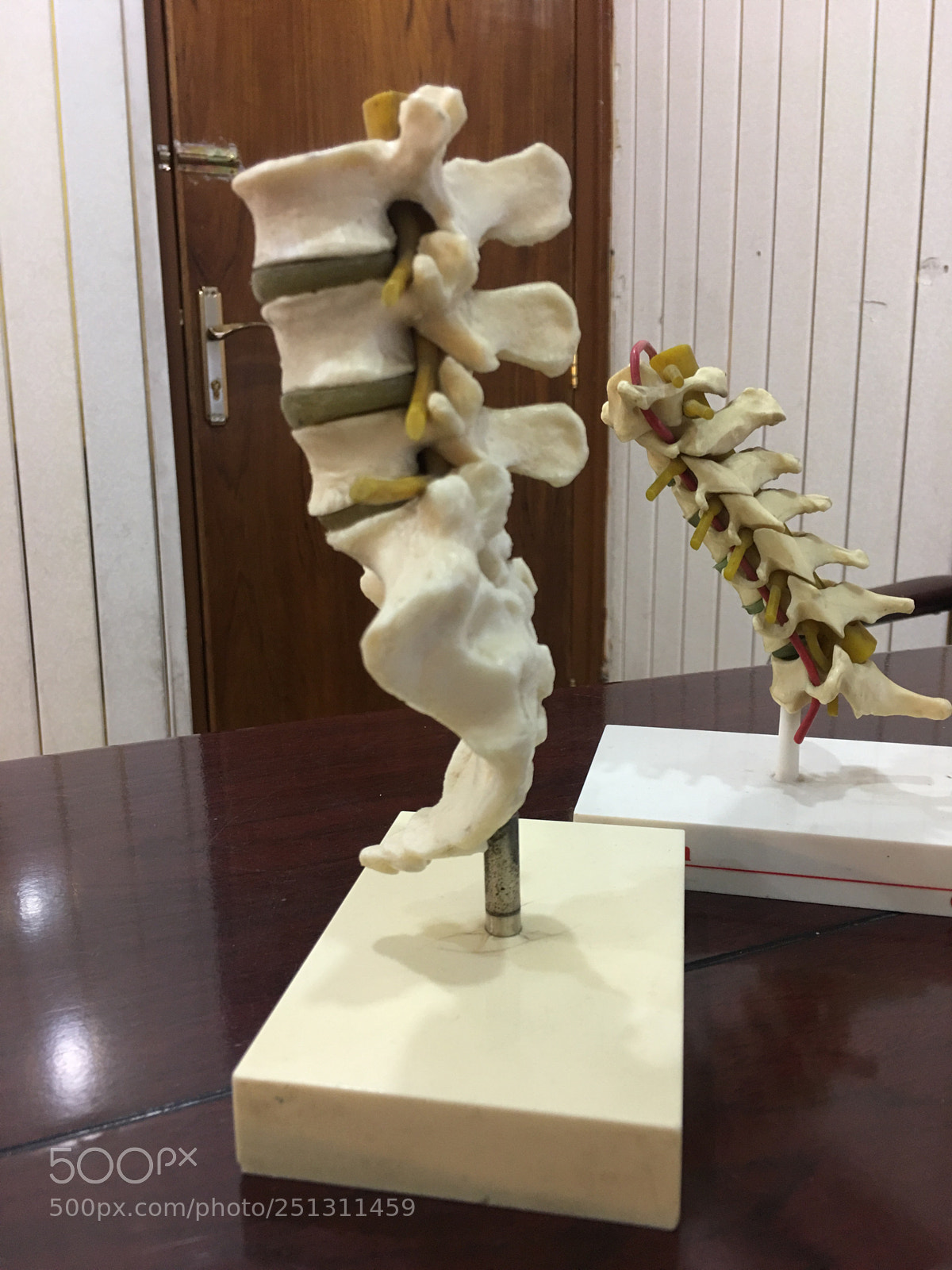 Apple iPhone 6s Plus sample photo. Spine  photography