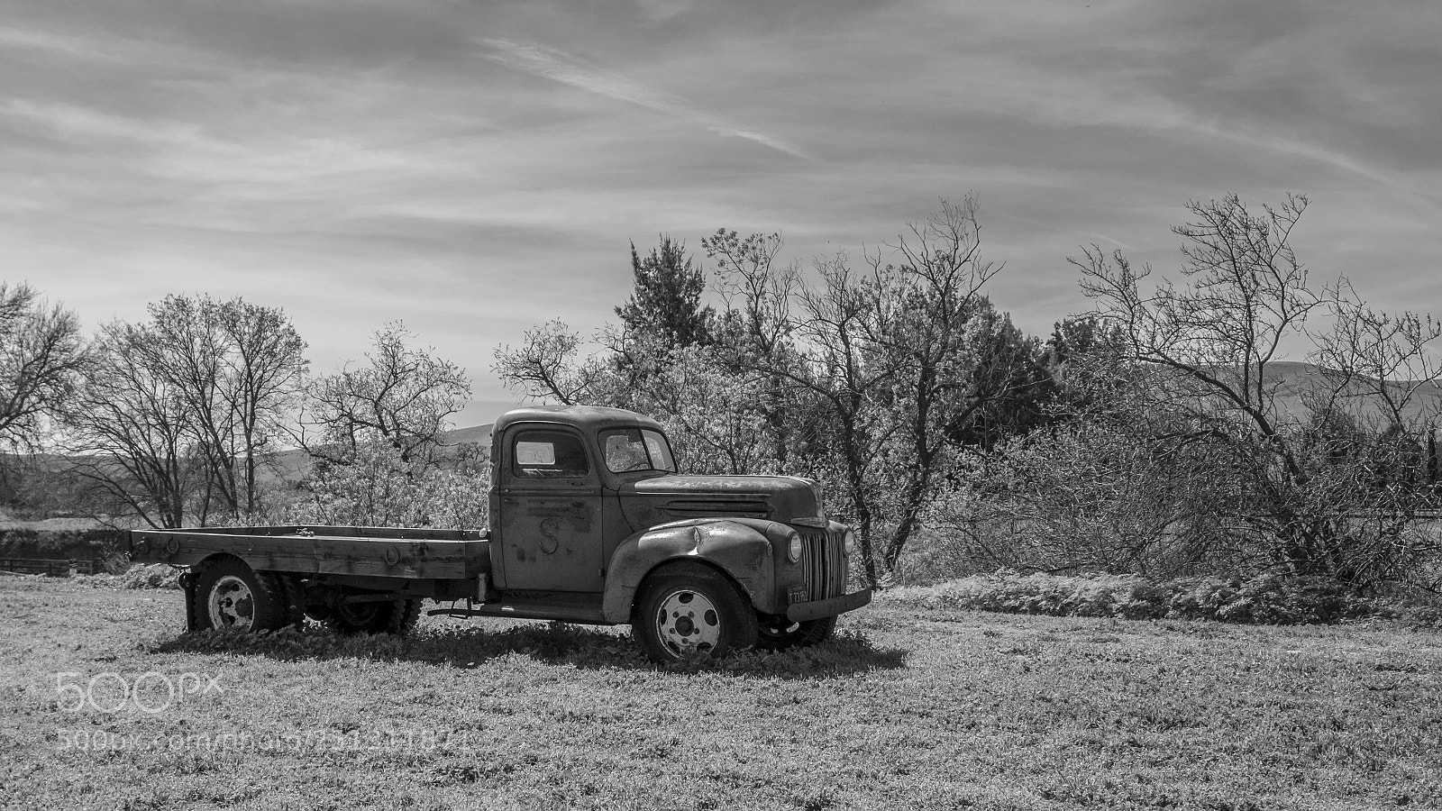 Fujifilm X-T2 sample photo. Found off road, dead photography