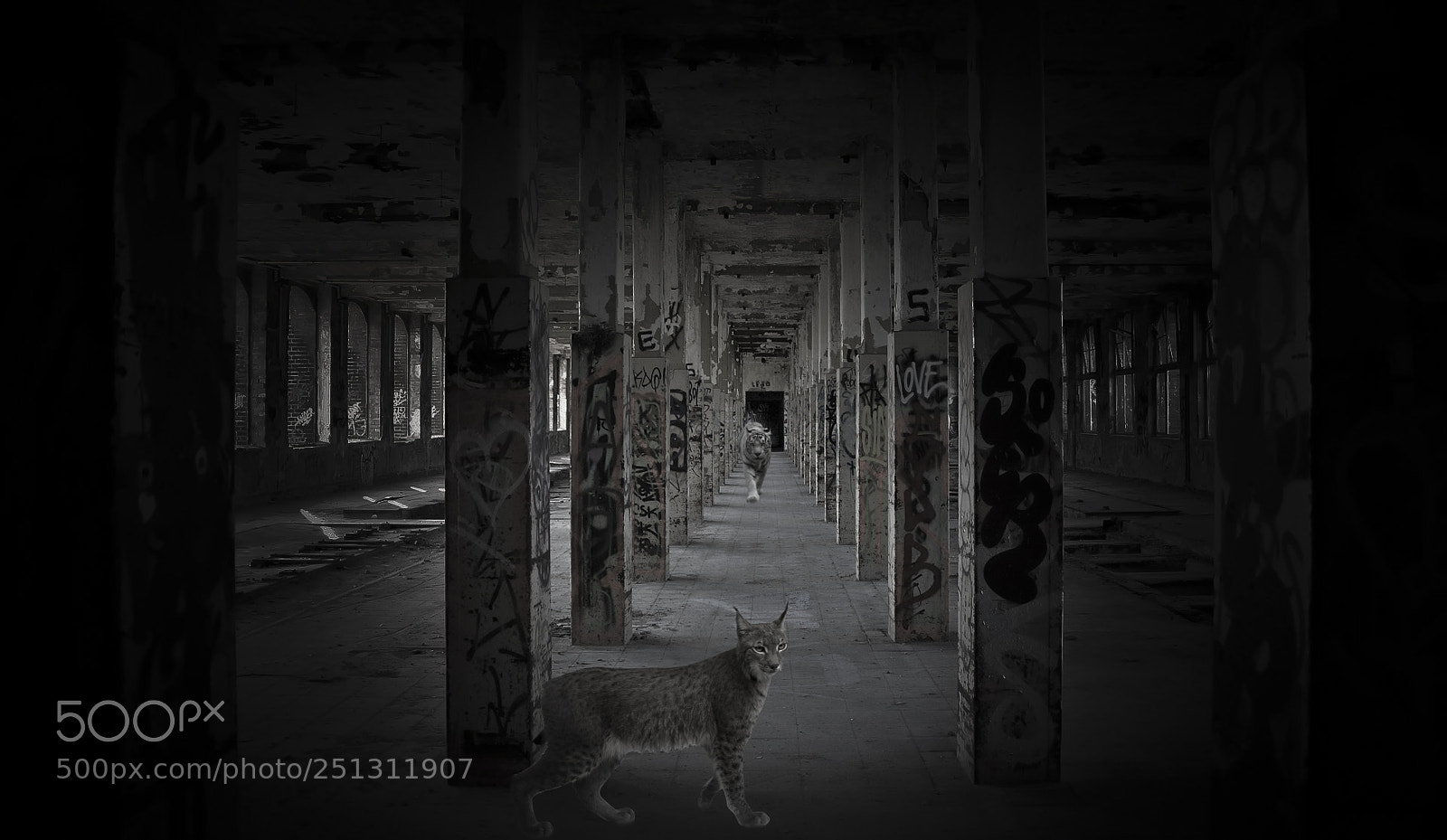 Nikon D5200 sample photo. Dark cities you crawlin' photography
